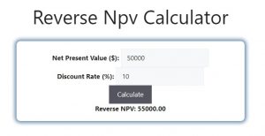 Reverse Npv Calculator