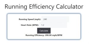 Running Efficiency Calculator