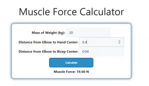 Muscle Force Calculator